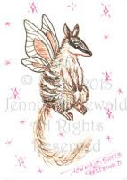 Numbat Fairy